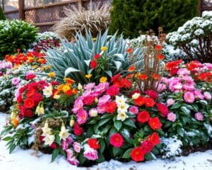 Blütenpracht im Winter: Winterharte Pflanzen für Ihren Außenbereich