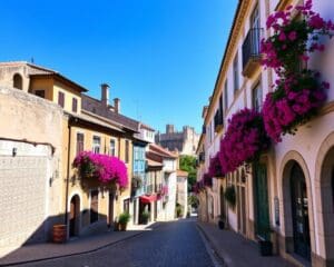 Historische Altstadt von Coimbra, Portugal