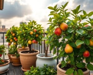 Obstbäume im Kübel: Frisches Obst auf kleinem Raum ernten