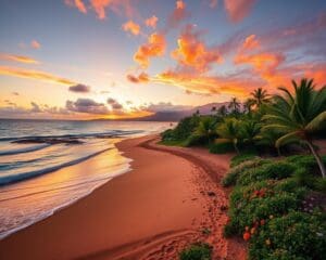 Strände und Natur in Maui, Hawaii