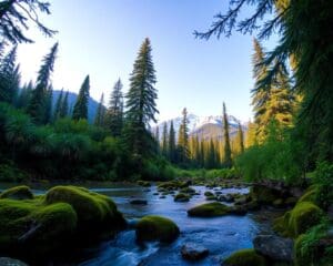 Inspirierende Naturerlebnisse in den Nationalparks