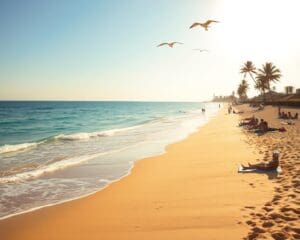 Wie verbringt man einen perfekten Strandurlaub?